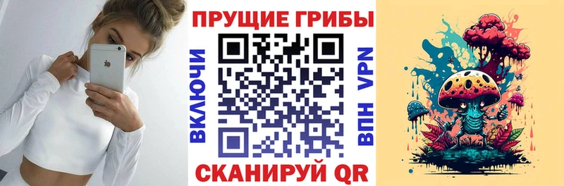Псилоцибиновые грибы Cubensis  Когалым 